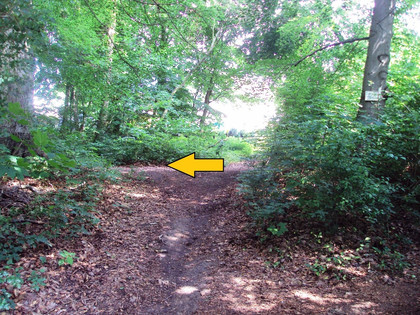 Salzgitter-Gebhardshagen, Wanderweg 22 Verlauf nach Abzweig vom Baumlehrpfad