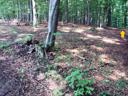 Salzgitter-Gebhardshagen, Wanderweg 22 Wegeverlauf zum Forstweg