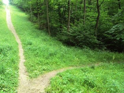 Salzgitter Höhenzug, Wanderweg22 Umgehung steiler Aufstieg Gasleitungsschneise