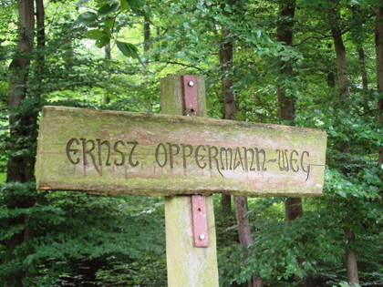 Salzgitter Höhenzug, Wanderweg 30 Ernst-Oppermann-Weg