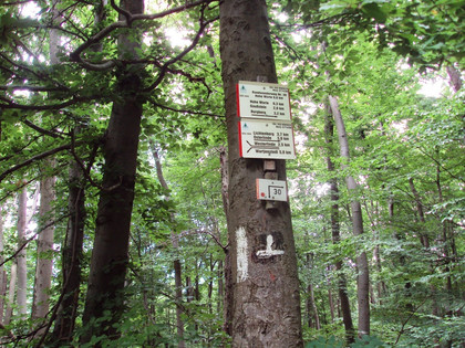 Salzgitter Höhenzug, Wanderweg 30 auf Höhenweg