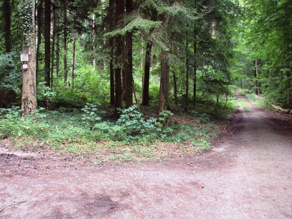 Salzgitter Höhenzug, Wanderweg 30 Spitzkehre (1)