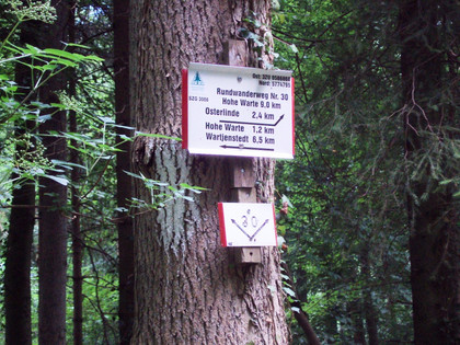 Salzgitter Höhenzug, Wanderweg 30 Spitzkehre