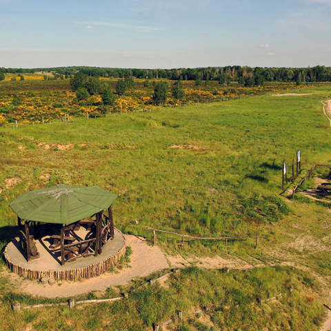 Aussichtspunkt Wüste (alte Panzerschießbahn), Sielmanns Naturlandschaft Döberitzer Heide, Juni 2021 Aussichtspunkt Wüste (alte Panzerschießbahn), Sielmanns Naturlandschaft Döberitzer Heide, Juni 2021