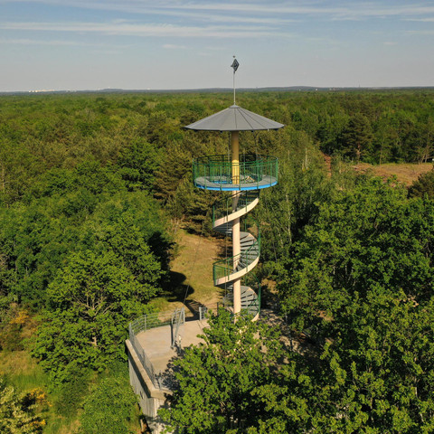 Aussichtsturm in Sielmanns Naturlandschaft Döberitzer Heide, Juni 2021 Aussichtsturm in Sielmanns Naturlandschaft Döberitzer Heide, Juni 2021