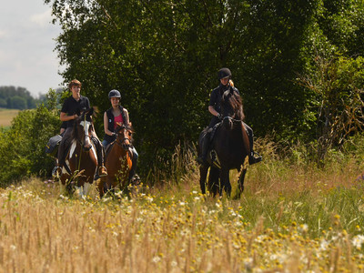 Hasselfelde - geführter Ausritt mit eigenem Pferd