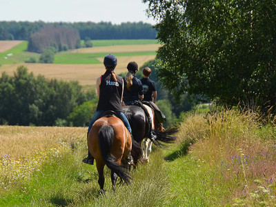 Hasselfelde - geführter Ausritt mit eigenem Pferd