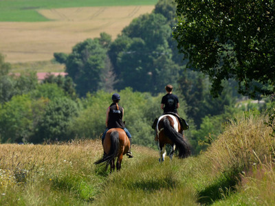 Hasselfelde - geführter Ausritt mit eigenem Pferd