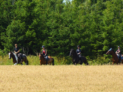 Hasselfelde - geführter Ausritt mit eigenem Pferd