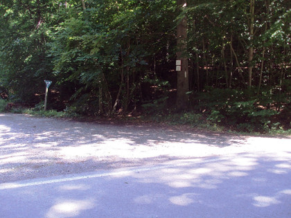 Salzgitter Höhenzug, Wanderweg 28 Waldeingang