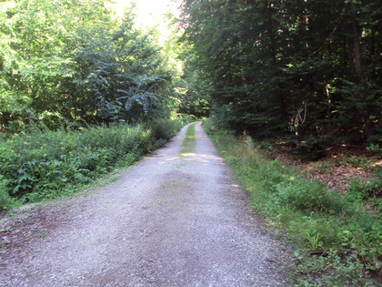 Salzgitter Höhenzug, Wanderweg 28 Wegbeschaffenheit