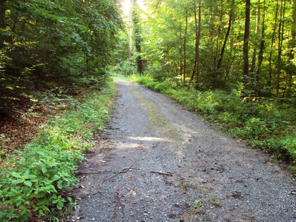 Salzgitter Höhenzug, Wanderweg 29 Wegeverlauf