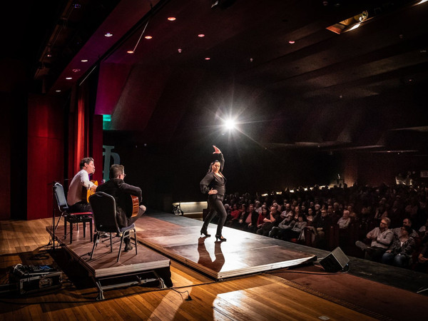 AugHD Flamenco (c) Chriss Dorn.jpg