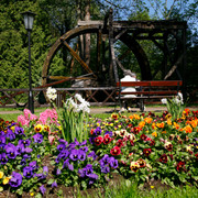 Historisches Wasserrad II.JPG