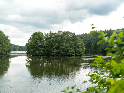 Wiehltalsperre Krombacherinsel Eine ruhige Seeoberfläche mit dicht bewaldeter Insel unter bewölktem Himmel in natürlicher Umgebung.