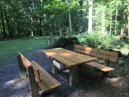 Ruhebank Eiche Oma und Opa.jpg