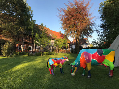 Eulenhof in Hörden am Harz - Garten