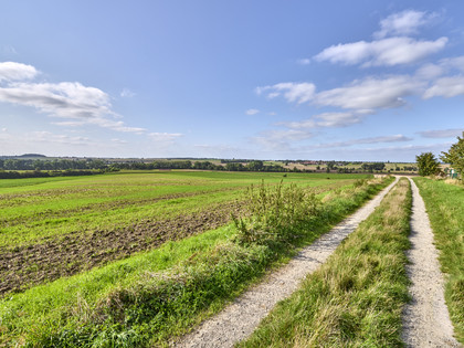 Ruhebank nördlich von Groß Denkte mit Ausblick Richtung Wendessen, Wolfenbüttel, Ahlum, Nördliches Harzvorland, Niedersachsen, Deutschland Ruhebank nördlich von Groß Denkte mit Ausblick Richtung Wendessen, Wolfenbüttel, Ahlum, Nördliches Harzvorland, Niedersachsen, DeutschlandBench north of Groß Denkte with view towards Wendessen, Wolfenbüttel, Ahlum, Northern Harz Foreland, Lower Saxony, GermanyBænk nord for Groß Denkte med udsigt mod Wendessen, Wolfenbüttel, Ahlum, Nordharzen, Niedersachsen, TysklandBank ten noorden van Groß Denkte met uitzicht op Wendessen, Wolfenbüttel, Ahlum, Noordelijk Harz Voorland, Nedersaksen, Duitsland