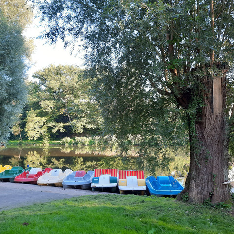 Bootshafen Herchen 2