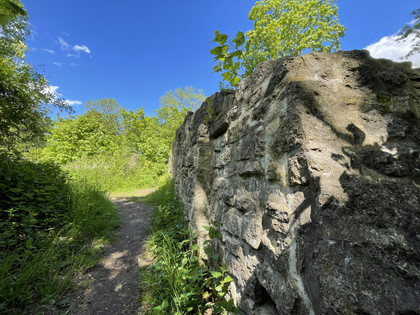 Asseburg Ruine IMG_5525.jpg