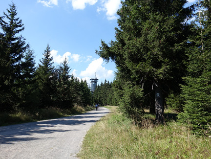 Wanderweg zur Rennsteigwarte