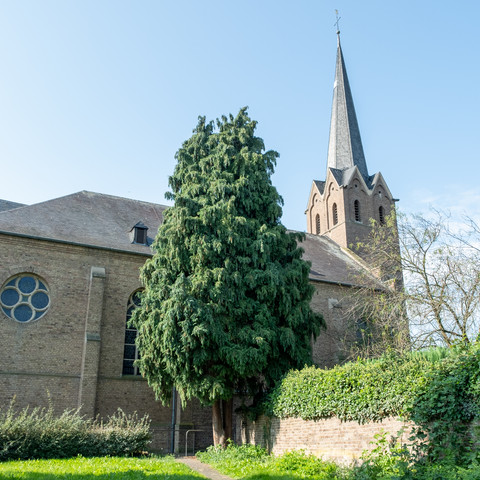 St. Martin Seitenansicht