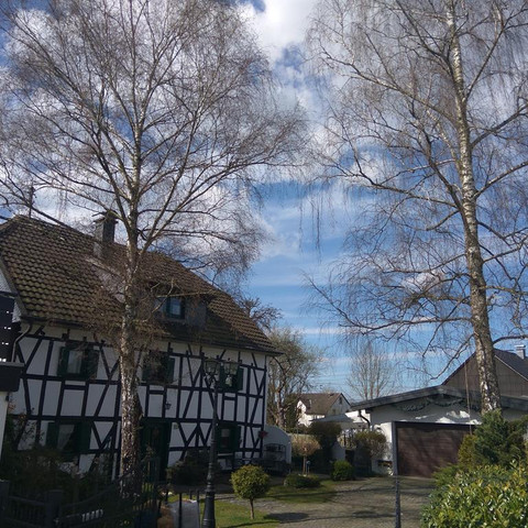 sonniger Tag im März