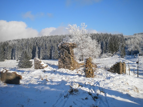 Tal der Königsmühle