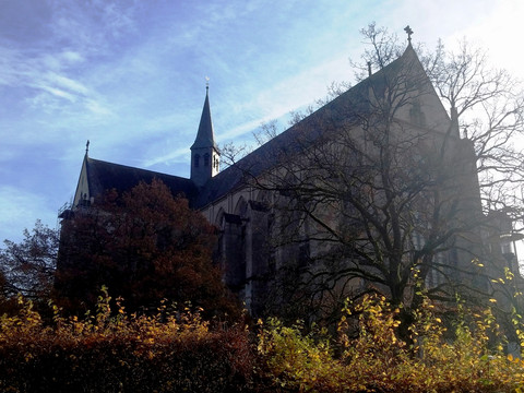 Altenberger Dom Gotische Kirche in spätherbstlicher Szene, umgeben von Bäumen mit goldgelbem Laub vor blauem Himmel.
