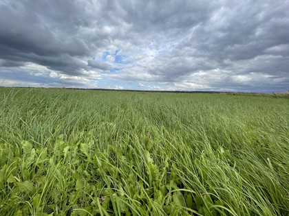 Aussicht Schulwald Cramme Flöthe.jpeg