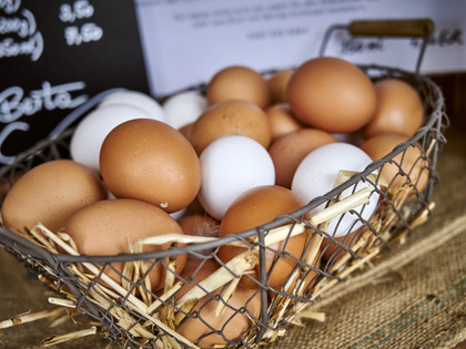 Hofladen Grüne Berta Hofladen Grüne Berta