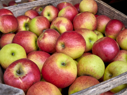 Obsthof Deuse Obsthof Deuse