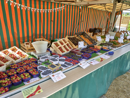 Erdbeerfeld Obsthof Halbhuber Erdbeerfeld Obsthof Halbhuber