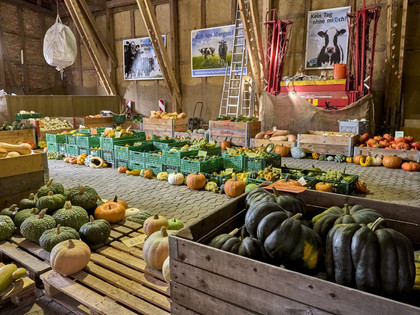 Kürbismeister Börßum Kürbismeister Börßum