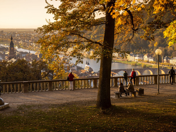 2531_ScheffelterrasseimHerbst2020 (c) Tobias Schwerdt.jpg