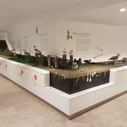 Landschaftsmodell Wattenmeer.jpg