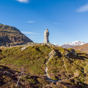 Steinadler auf dem Simplonpass Steinadler auf dem Simplonpass