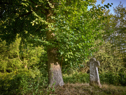 Liebesallee Gutspark Kissenbrück Liebesallee Gutspark Kissenbrück