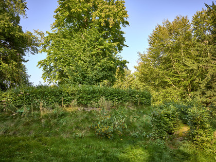 Liebesallee Gutspark Kissenbrück Liebesallee Gutspark Kissenbrück