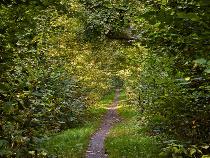 Liebesallee Gutspark Kissenbrück Liebesallee Gutspark Kissenbrück