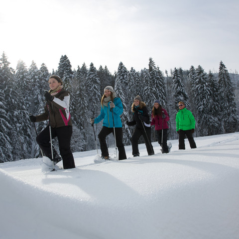 Geführte Schneeschuhwanderung Baiersbronn Touristik Gruppenfuehrung