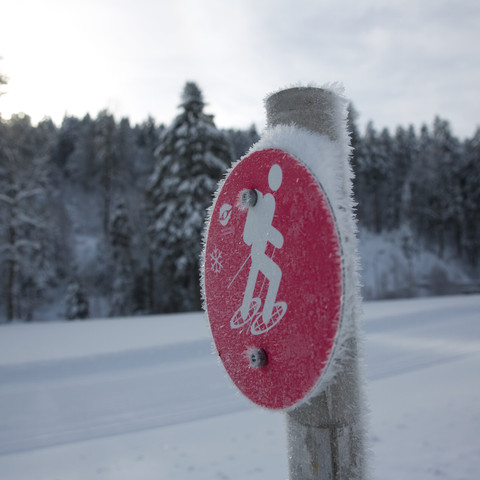 Geführte Schneeschuhwanderung Baiersbronn Touristik Verschneiter Schwarzwald