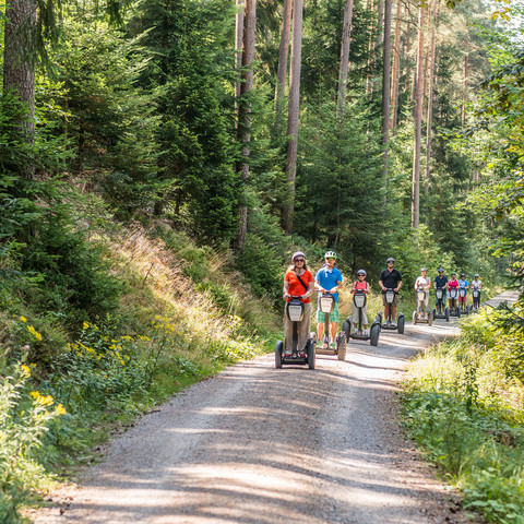 Segway Tour Gefuehrt Baiersbronn im Wald