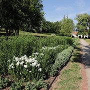 030HR - Gersfeld - Schlosspark.JPG