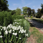 031HR - Gersfeld -Schlosspark.jpg