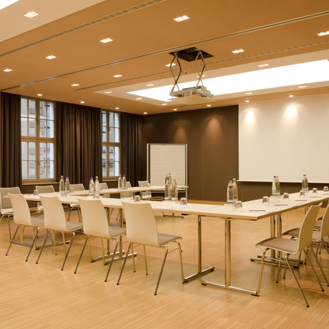 Aare conference room