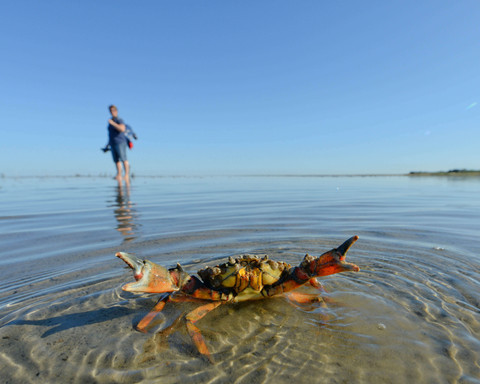 Krebs - 2014.08.27 - 09.18.12.jpg