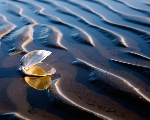 Watt Impression - 2016.01.17 - 15.23.38.jpg