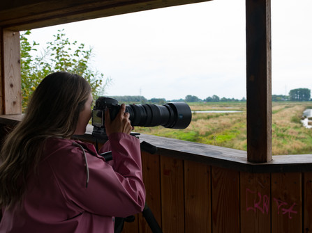 Naturbeobachtungsstation Ausblick