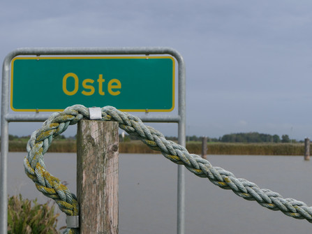 Oste